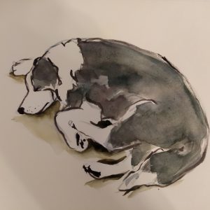 KRESBA-VOLNÁ TVORBA-EXPERIMENT pondělí 19:00-21:00 hod. (ZÁŘÍ-LISTOPAD)